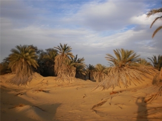 Оаза Аль-Харга, Західна пустеля, Єгипет