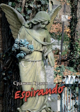 Книжка Срджан Срдич "Espirando" (фото 1)